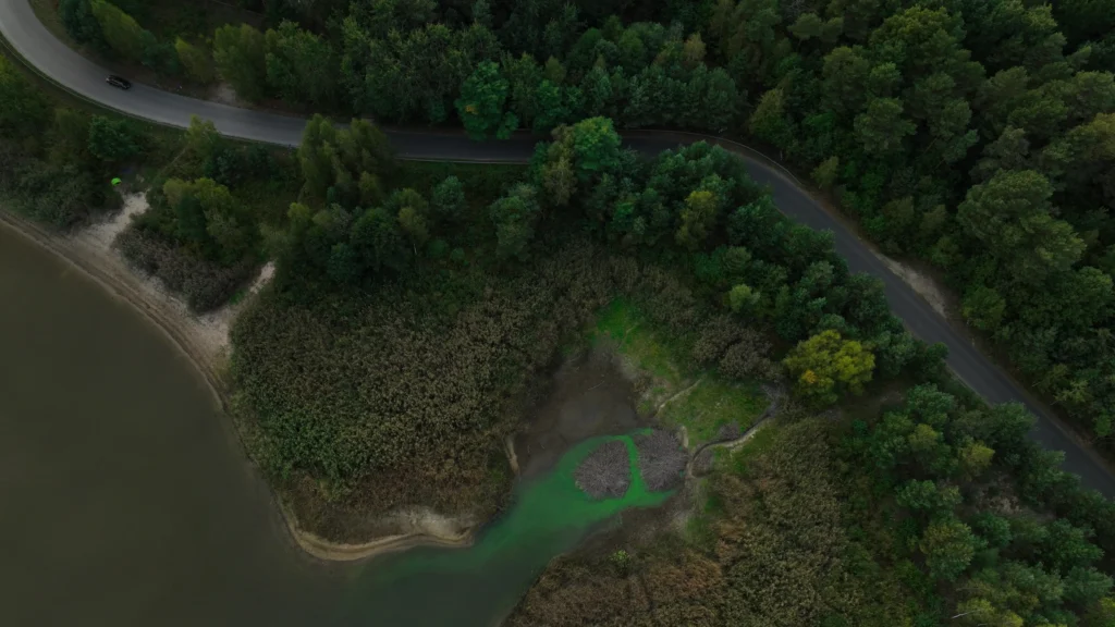 Widok na jezioro Domaniowskie