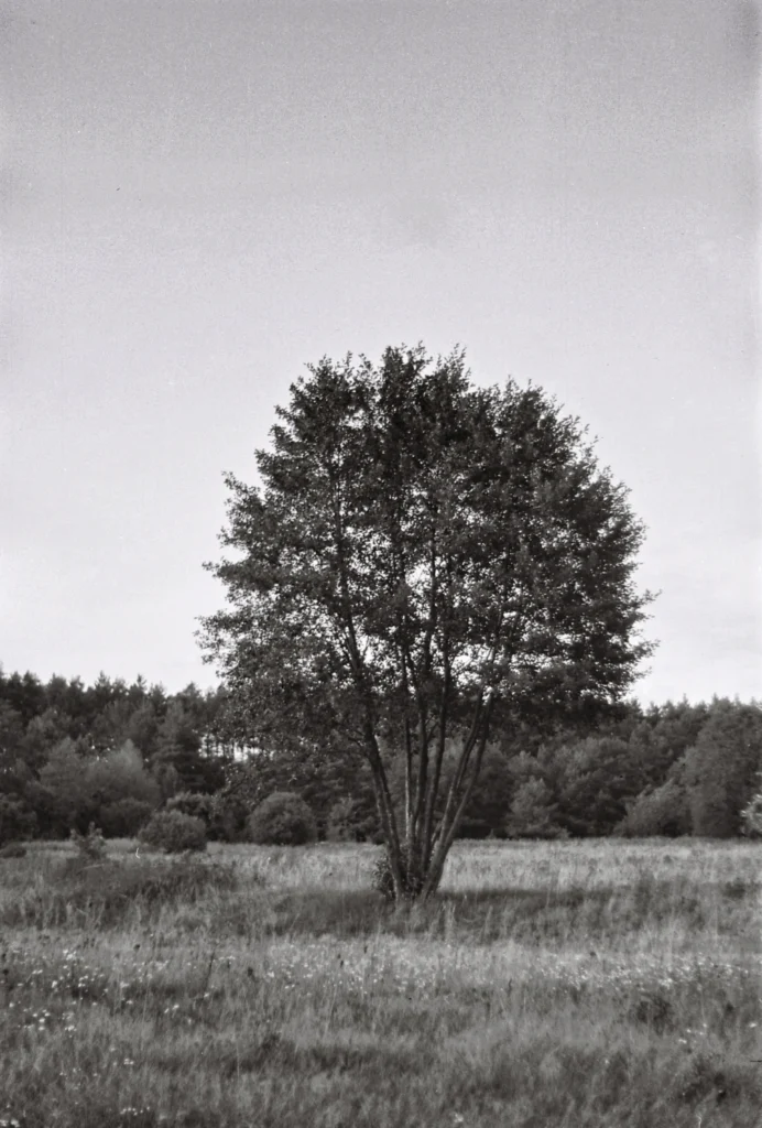 Praktica Fomapan1