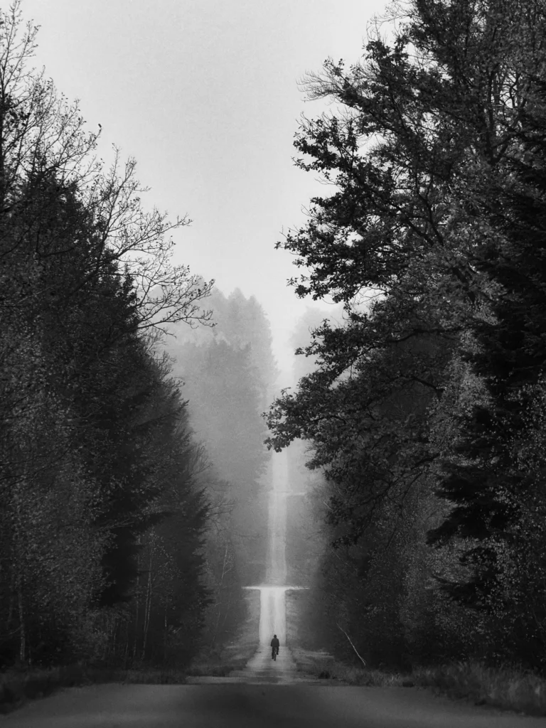 OM1 Fog b&w